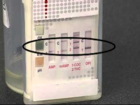 Icup Drug Test Results Chart