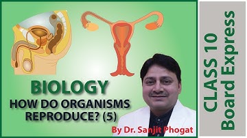 Board Exams Class10: Biology Important Questions / Notes: Topic- How Do Organisms Reproduce? (5)