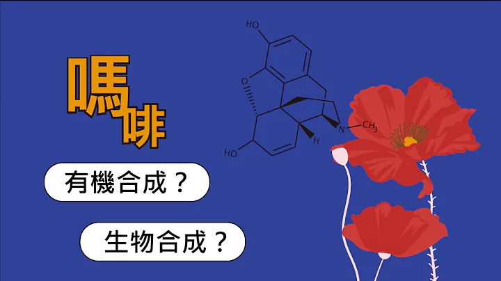 【自然界的化学工厂】次世代的化学工业－合成生物学 - 天天要闻