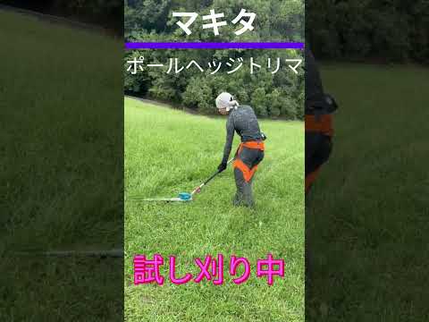 大和高田 求人 森林整備・職人 自然環境 #shorts