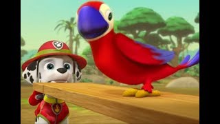 Paw Patrol - Parroting Pups - Parrot Trouble