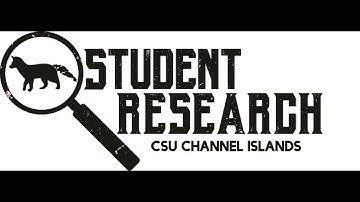 Manual Installation of an Omeka Plugin