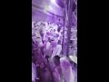 من مطير العز والفخر والطاله mp3