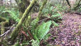 A Touch of Trail - Chapman Bay Trail 12-19 (featuring @DjBrownnote)
