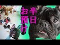 ココを半日お預け！お預け中の様子は…？