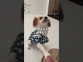 お散歩中の素敵なお姉さんを撮影させて頂きました!
