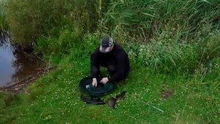 Līnis, Линь, Tench