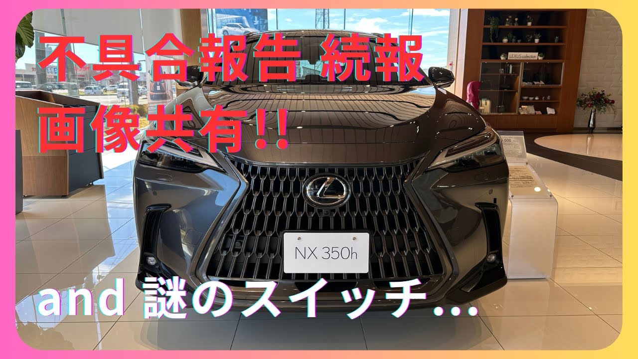 6、7ステー半折れ2箇所　14枚目裏割れ　レクサス NX DAA-AYZ10 右 レクサスNX】不具合報告の続報@画像共有（おまけ：謎のスイッチ