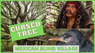 MEXICAN BLIND VILLAGE | VILLAGE IN MEXICO WHERE EVERYBODY IS BLIND TILTEPEC VILLAGE