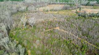 4338 Hwy 151, Pageland, SC 29728, Chesterfield County Acreage
