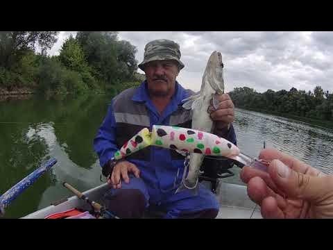 Троллинг на дону. Троллинг дон. Троллинг на дону. Троллинг на дону. Троллинг на дону.