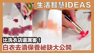 How to remove stains from white clothes｜蛙家Waja by 蛙家Waja 7,416 views 3 months ago 11 minutes, 32 seconds