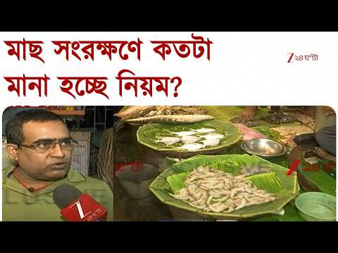 Gariahat | মাছ সংরক্ষণে কতটা মানা হচ্ছে নিয়ম? মাছের বাজারে পুরসভার অভিযান | Zee 24 Ghanta