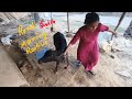 “Morning in Rural India 🌄 | My Village Life Routine 🇮🇳✨”