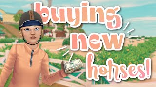 NEW HORSES at the Equestrian Festival + SHILLINGS TIPS // Star Stable