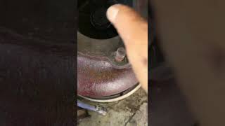 Celebrity 17 de noviembre de 2023 Wealth