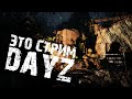 Айда может этого самого? Того?  - DayZ