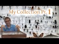 My Insect Collection Part 1