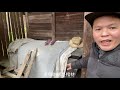貴州最詭異的無人村：村裡擺著一副副棺材，墳頭就在房子邊，見不到一個人