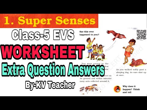 WORKSHEET/ Super Senses / Class-5 EVS Chapter 1 extra Question Answers by Kendriya Vidyalaya Teacher