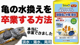 【亀飼育】カメの脱窒について検証・考察！硝酸塩を除去する神調整剤の使い方や注意点について解説！【テトラ・ナイトレイトマイナス　海水リサイクル】