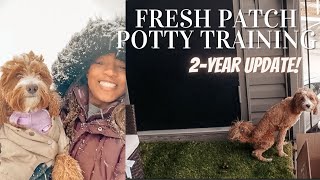 Fresh Patch Review 2Year Update! | Potty Train Puppies in Winter in an APARTMENT