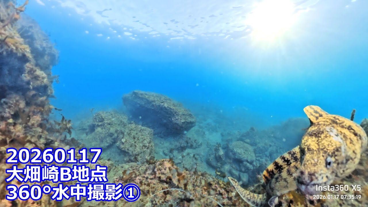 20260117X5①大畑崎B地点360°水中撮影(06:32:07～07:59:30)チャプター付き