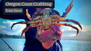 Crabbing The Oregon Coast From Shore w/ Crab Snares - CATCH & COOK