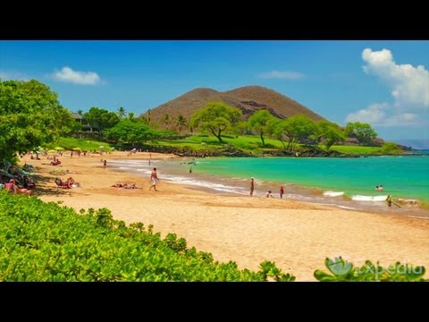 Maui - City Video Guide