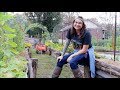 FULL Fall Garden Tour | Raised Bed Vertical Vegetable Garden | Roots and Refuge Farm