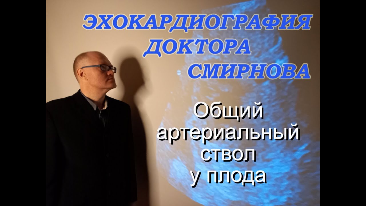 12. Общий артериальный ствол у плода, часть 1 (Persistent Truncus Arteriosus in fetus)