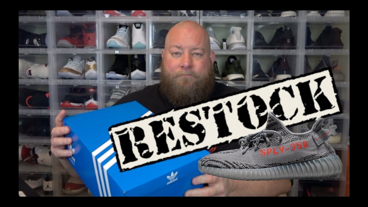 beluga 2.0 restock