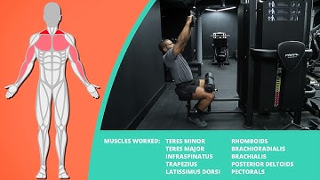 How To Do Cable Seated High Row - Narrow Mag Grip Attachment | Exercise Demo