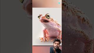😱🙊😱 #facts #animals #pets #snake #animalfacts #trending #new #dastan #viral #latest