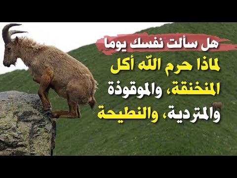 هل سألت نفسك يوما لماذا حرم الله أكل المنخنقة والموقوذة والمتردية والنطيحة