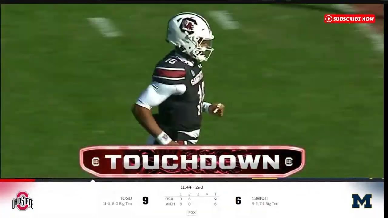 Vandrevius Jacobs AMAZING TOUCHDOWN Clemson vs South Carolina WEEK 14