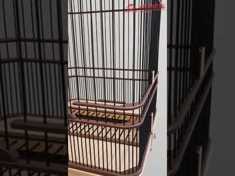 Video: Akankah junco menggunakan sangkar burung?