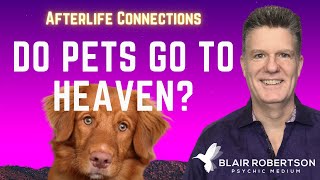 Do Pets Go To Heaven When They Die? Q&A With Psychic Medium Blair Robertson