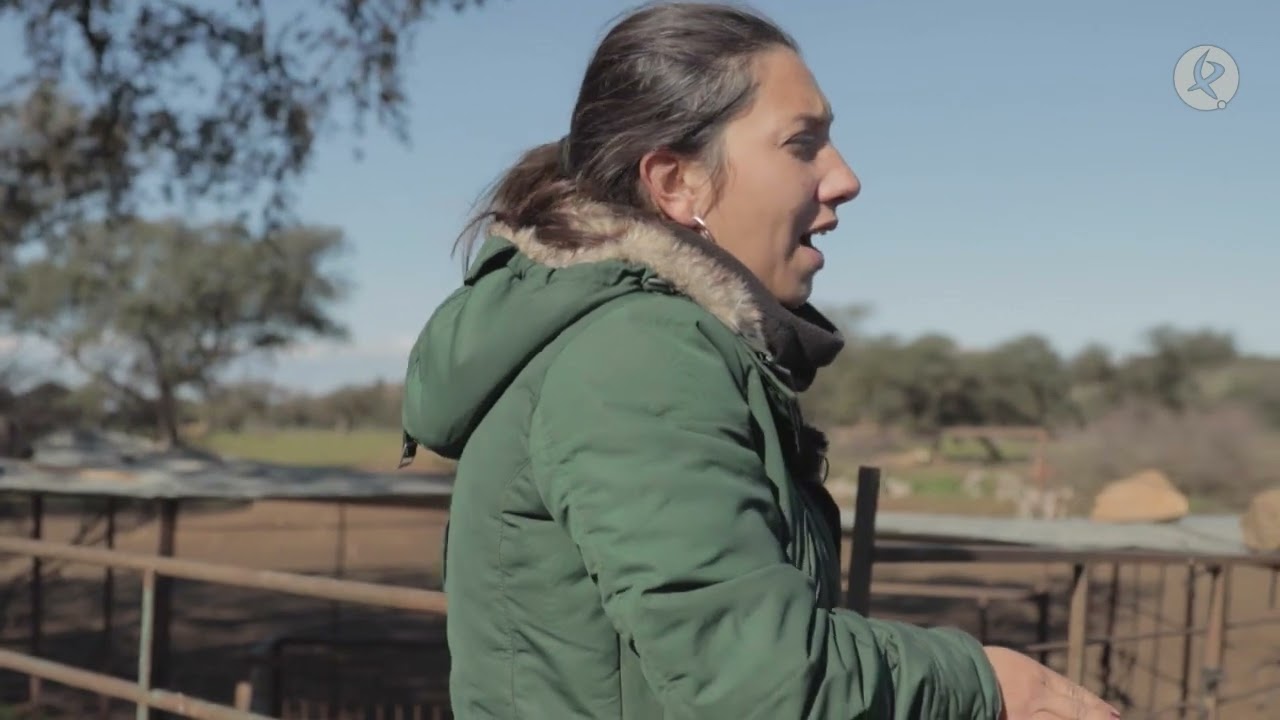 Chabeli encuentra a un borrego con la barriga hinchada de pienso | El campo es vida