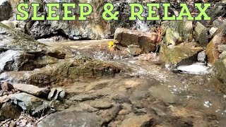 Relaxing Stream Sounds in the Forest 🌿 Natural Water Sounds for Sleep, Study & Meditation