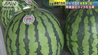 豪雨1カ月被害乗り越え・・・特産品スイカ出荷　日田市(17/08/05)