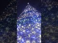 26 декабря 2025 г.