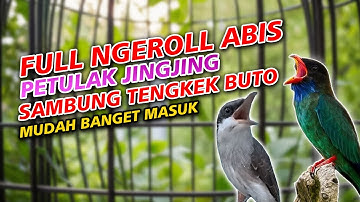 MASTERAN BURUNG LOMBA PETULAK JINGJING SAMBUNG TENGKEK BUTO JERNIH MUDAH DITIRU
