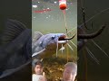 crazy fish bite 😱