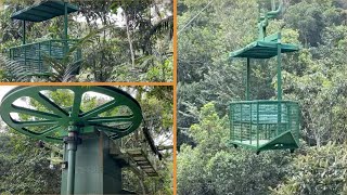 Open Aerial Tram in Gamboa, Panama (Experience the Jungle)