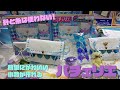 【東京おもちゃショー2022】パチェリエ ロイヤルホワイトDX（ビバリー）