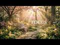 Soft Nature Piano 🌿 Calm Music for Focus &amp; Study