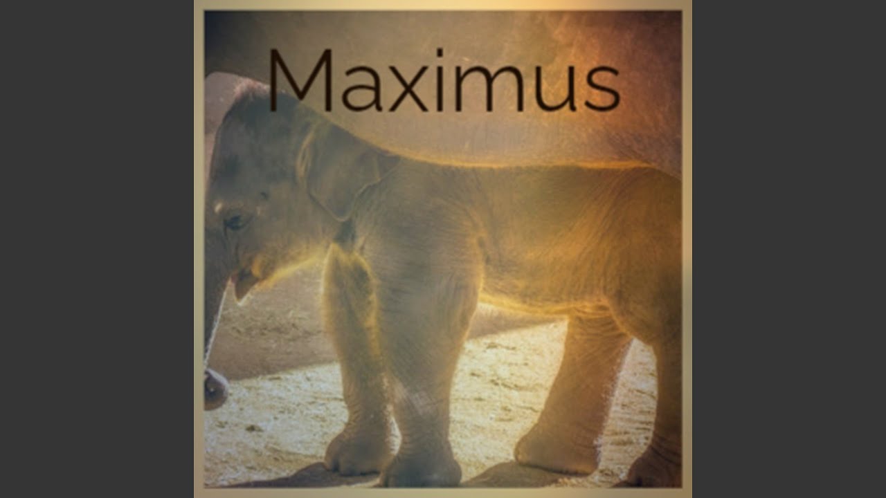 Watch Maximus on YouTube Watch Maximus on YouTube