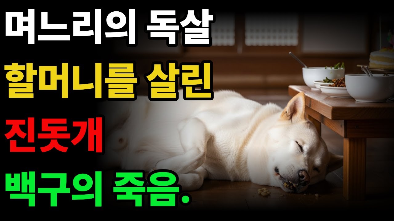 며느리의 독살,  할머니를 살린 백구의 안타까운 죽음  #진돗개사연 #백구 #감동사연 #황혼사연 #강아지