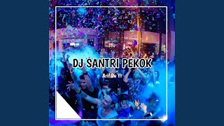 DJ SANTRI PEKOK VIRAL TIKTOK
